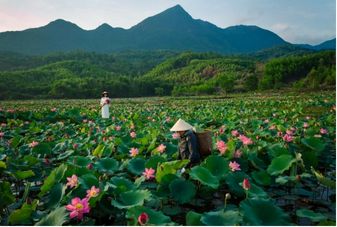 Tour chụp ảnh áo dài – Nơi giới trẻ chạm vào hồn văn hóa Việt