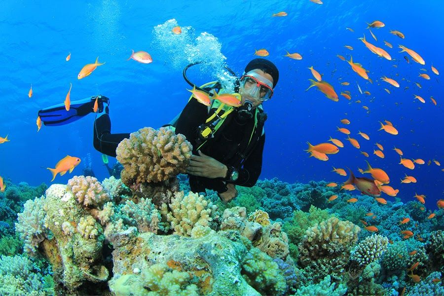 TOUR GHÉP 1 NGÀY KỲ CO ( ĐÓN BẾN NHƠN LÝ ) 