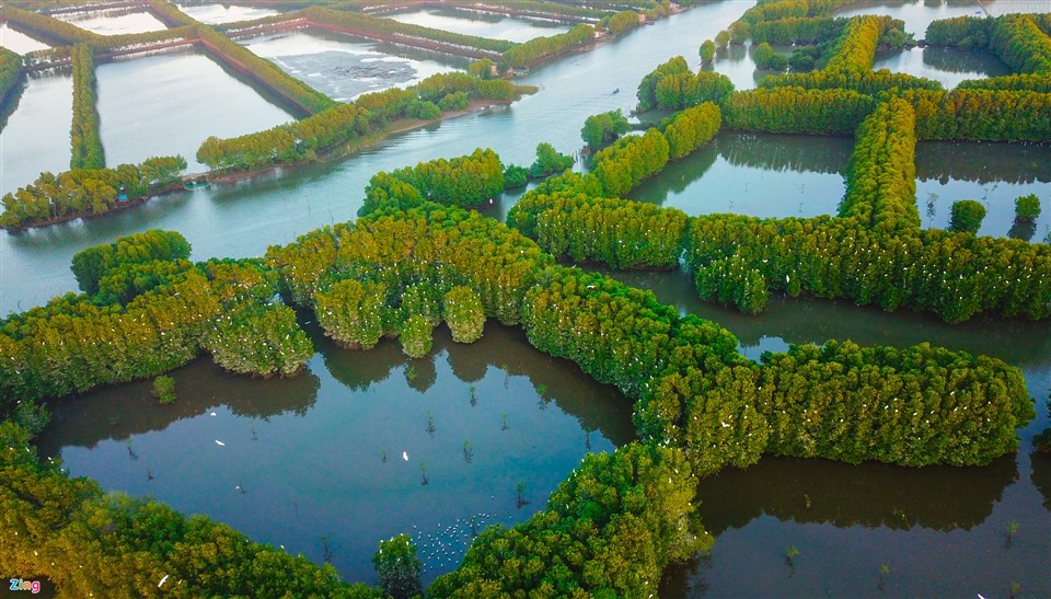 TOUR GHÉP 1 NGÀY CỒN CHIM TUY PHƯỚC
