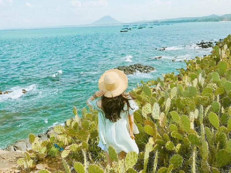 TOUR GHÉP 1 NGÀY PHÚ YÊN- HOA VÀNG CỎ XANH ( ĐÓN Ở QUY NHƠN )