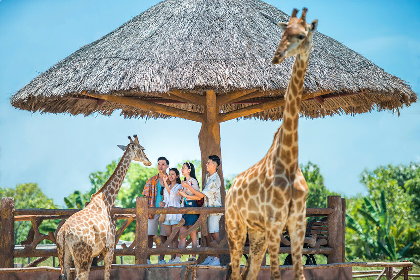 TOUR GHÉP 1 NGÀY ĐÀ NẴNG - VINPEARL NAM HỘI AN