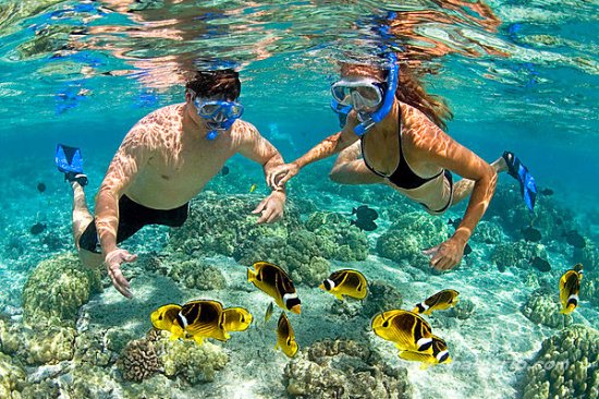 TOUR GHÉP 1 NGÀY CÙ LAO CHÀM – LẶN NGẮM SAN HÔ