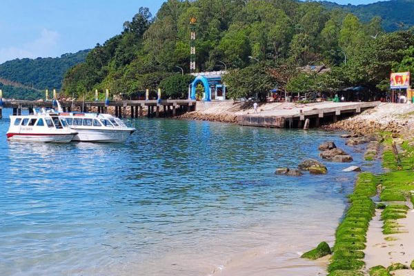TOUR GHÉP 1 NGÀY CÙ LAO CHÀM – LẶN NGẮM SAN HÔ