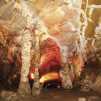  TOUR GHÉP 1 NGÀY VƯỜN QUỐC GIA PHONG NHA - KẺ BÀNG
