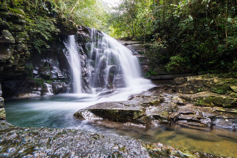 TOUR GHÉP 1 NGÀY VƯỜN QUỐC GIA BẠCH MÃ 