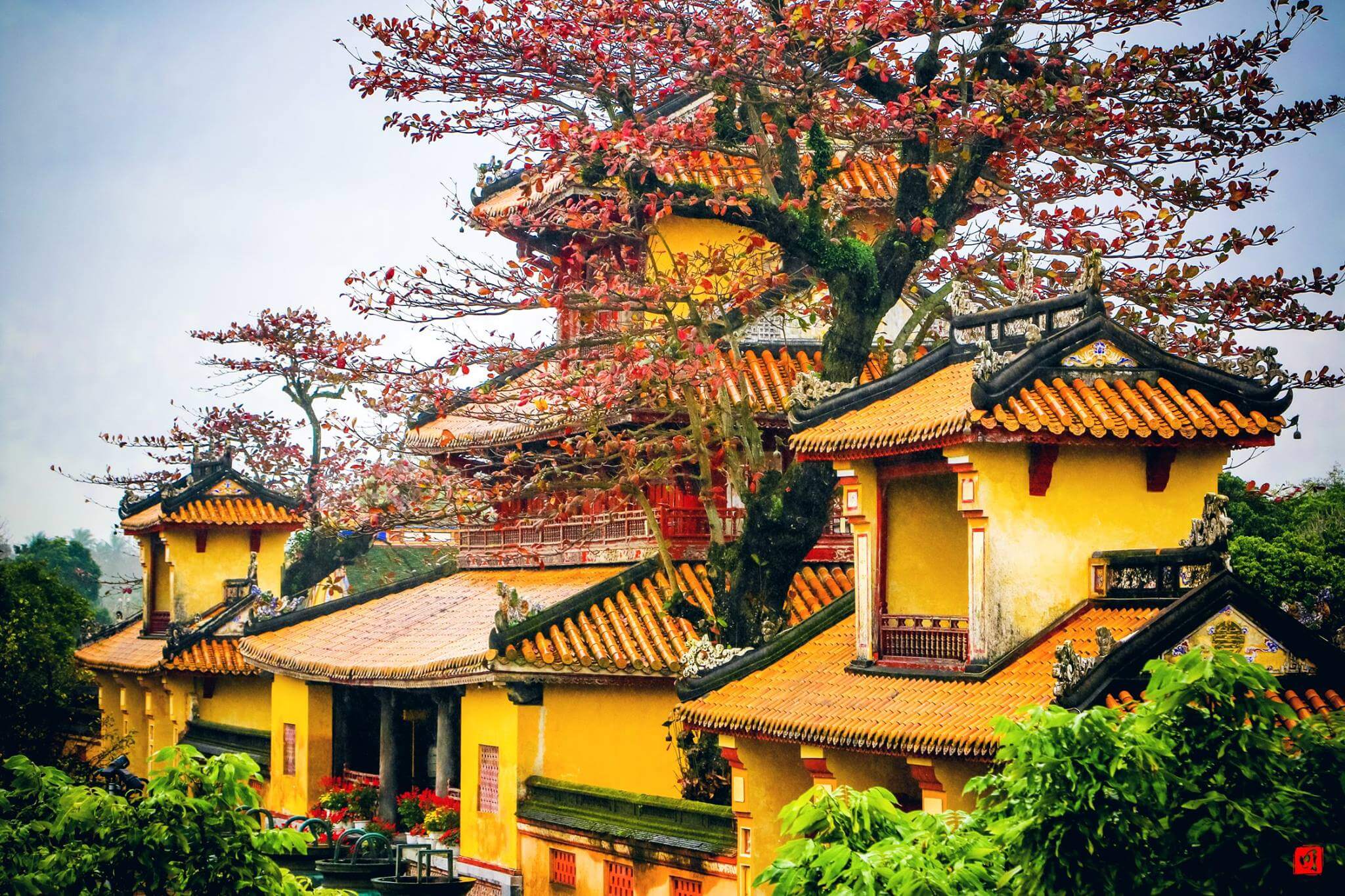 TOUR GHÉP 1 NGÀY KINH THÀNH HUẾ VÀ PHÁ TAM GIANG