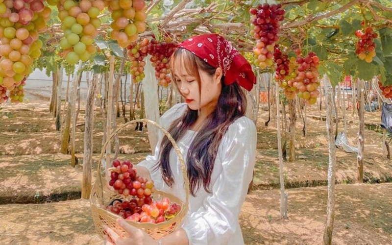 TOUR GHÉP 1 NGÀY VỊNH VĨNH HY NINH THUẬN