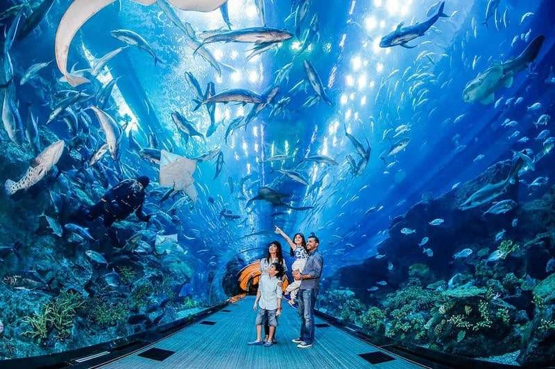 TOUR GHÉP 1 NGÀY CITY TOUR NHA TRANG 