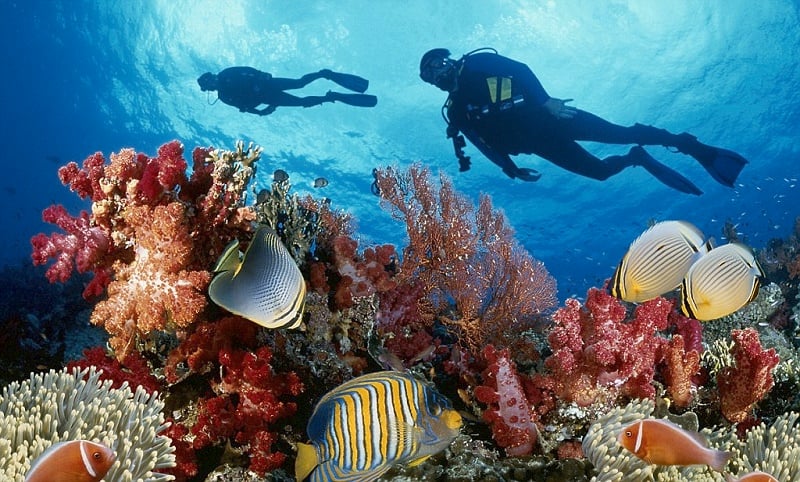 TOUR GHÉP 1 NGÀY 3 ĐẢO NHA TRANG ( HÒN MUN - LÀNG CHÀI - HÒN TẰM)