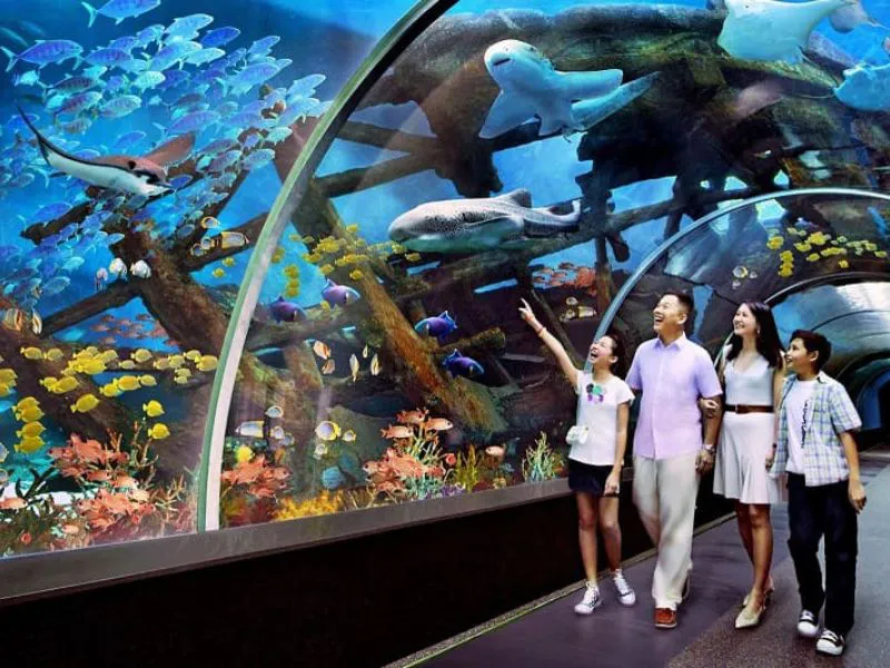 TOUR GHÉP 1 NGÀY 4 ĐẢO NHA TRANG  ( HỒ CÁC TRÍ NGUYÊN - BÃI TRANH - LÀNG CHÀI - VỊNH SAN HÔ )