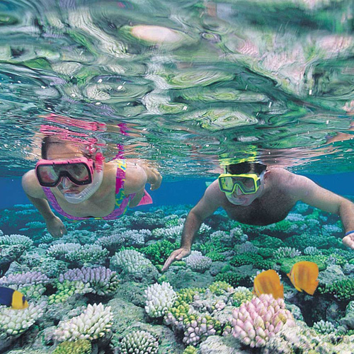 TOUR GHÉP 1 NGÀY 4 ĐẢO NHA TRANG  ( HỒ CÁC TRÍ NGUYÊN - BÃI TRANH - LÀNG CHÀI - VỊNH SAN HÔ )