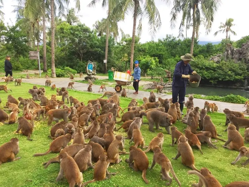 TOUR GHÉP 1 NGÀY ĐẢO KHỈ - SUỐI HOA LAN NHA TRANG 