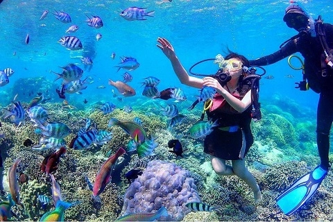 TOUR GHÉP 1 NGÀY TÀU GỖ - BAR NỔI NHA TRANG