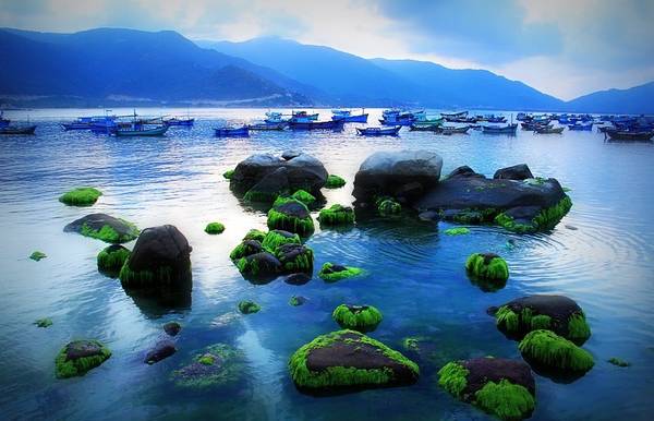 TOUR GHÉP 1 NGÀY ĐẢO BÌNH HƯNG NHA TRANG