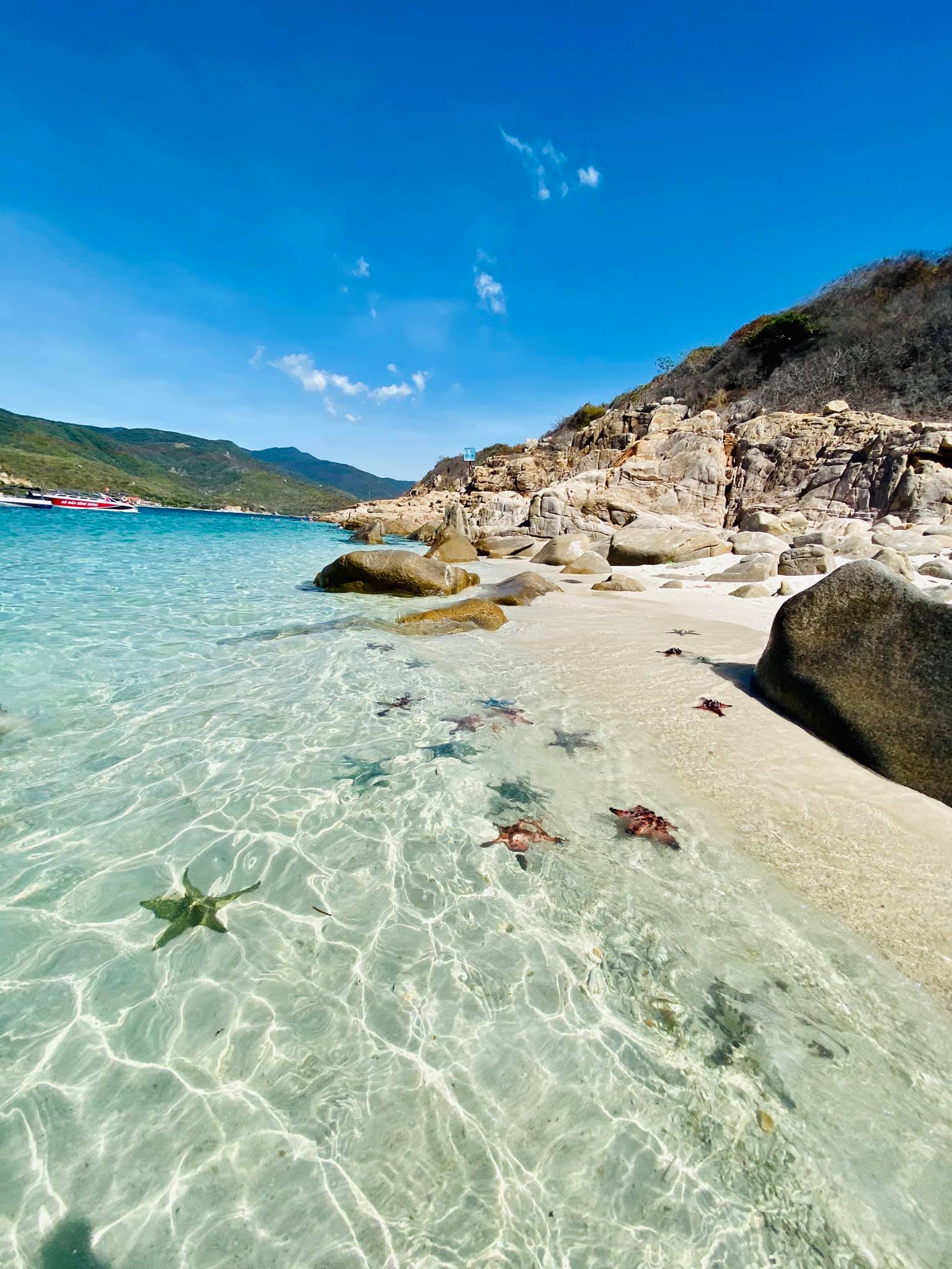 TOUR GHÉP 1 NGÀY ĐẢO BÌNH HƯNG NHA TRANG