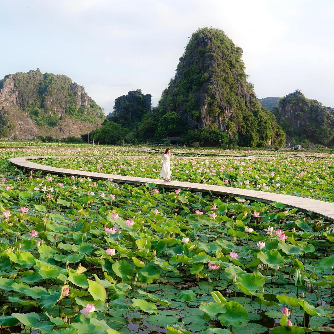 TOUR GHÉP 1 NGÀY HOA LƯ - TAM CỐC - HANG MÚA 