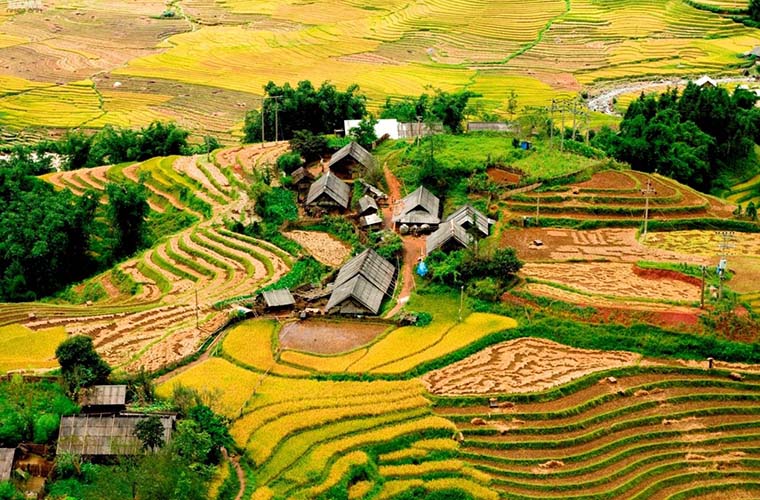 Tour Hà Nội - Sapa - Trekking 2 Ngày (Không Bao Gồm Khách Sạn)