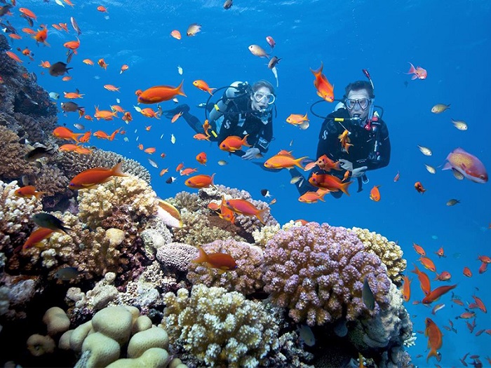TOUR GHÉP 1 NGÀY 3 ĐẢO DELUXE ( BÃI TRANH - LÀNG CHÀI - VỊNH SAN HÔ )