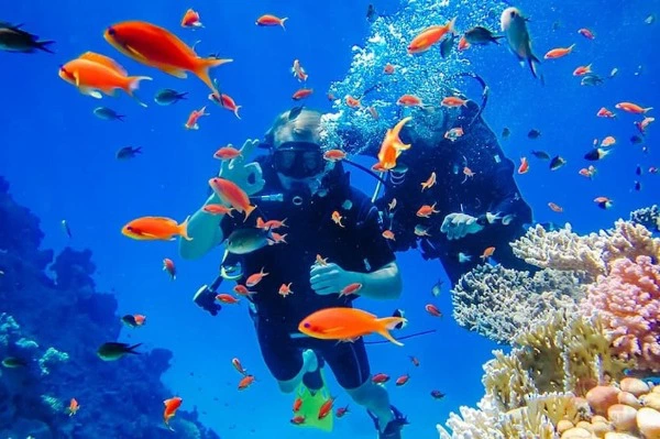 TOUR GHÉP 1 NGÀY 3 ĐẢO NHA TRANG ( HÒN MUN - LÀNG CHÀI - HÒN TẰM)
