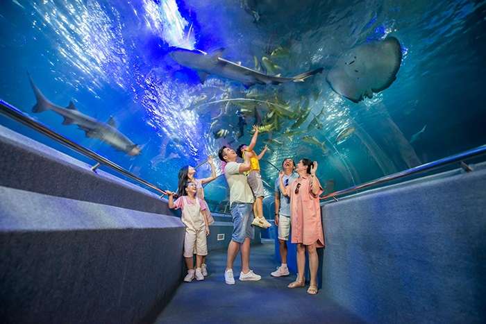 TOUR GHÉP 1 NGÀY 4 ĐẢO NHA TRANG  ( HỒ CÁC TRÍ NGUYÊN - BÃI TRANH - LÀNG CHÀI - VỊNH SAN HÔ )