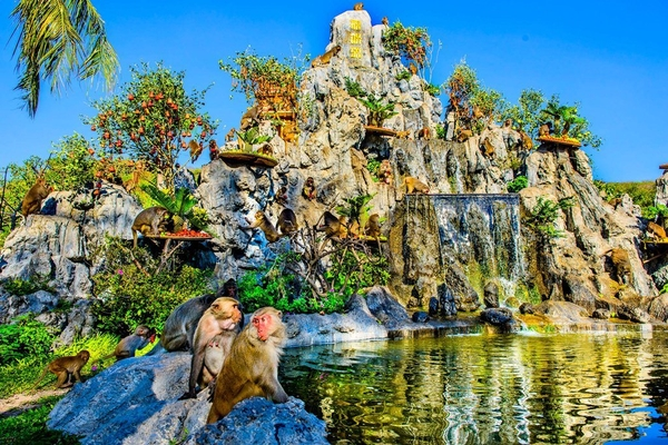 TOUR GHÉP 1 NGÀY ĐẢO KHỈ - SUỐI HOA LAN NHA TRANG 