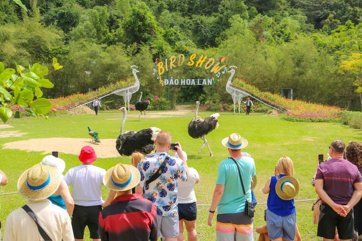 Hoa Lan Island Ticket – Nha Trang