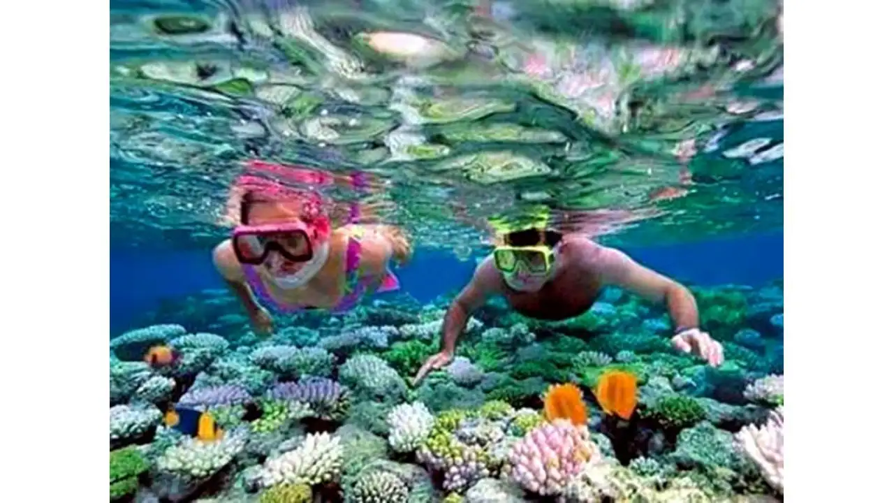 Son Tra Coral Diving & Snorkeling Ticket